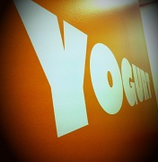 10th Jun 2011 - Yoyos