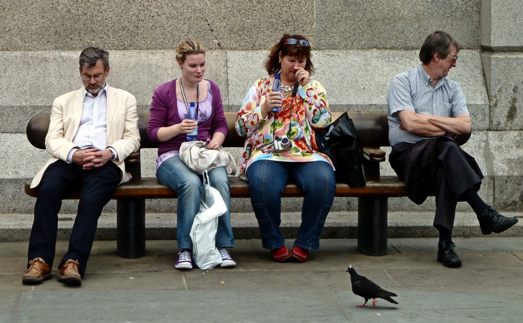 Bench Life : Scaredy Pigeon by rich57