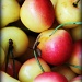Rainier Cherries by melinareyes