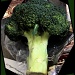 Broccoli by flygirl