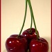 Cherries by sarahhorsfall