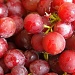 Great Grapes  by cjphoto
