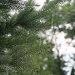 Raindrops and Bokeh 166_199_2011 by pennyrae