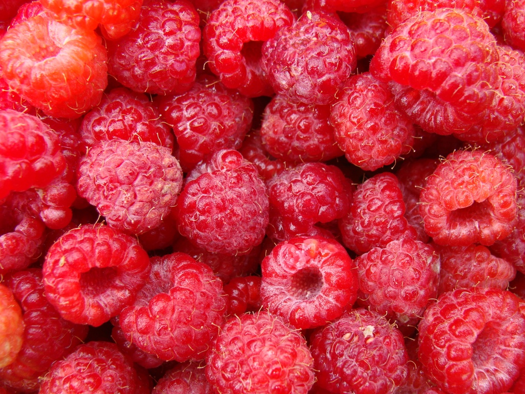 Ripe raspberries by busylady