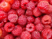 15th Jun 2011 - Ripe raspberries