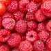 Ripe raspberries by busylady