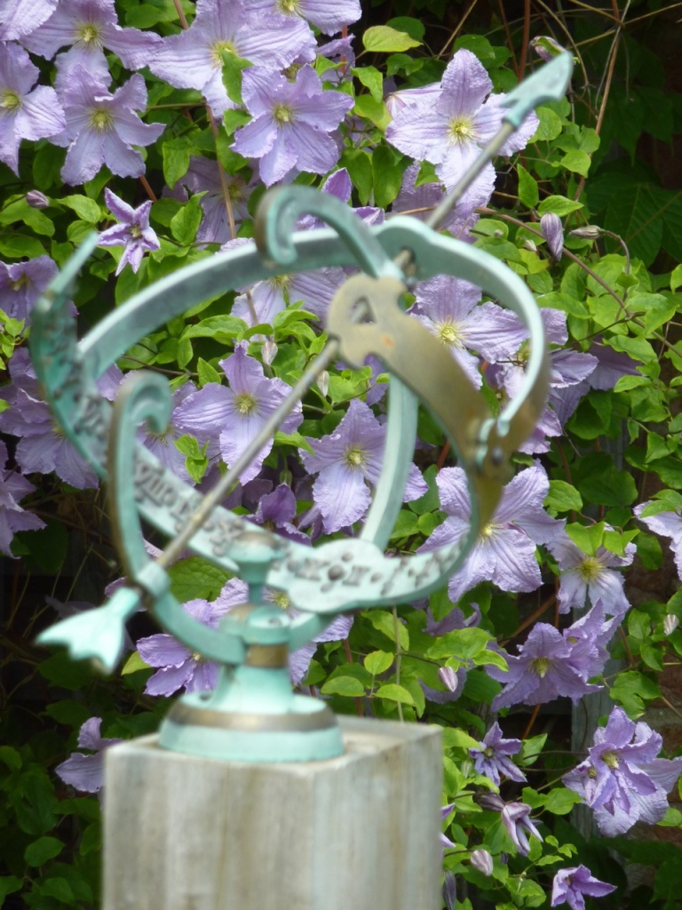 Clematis and Astrolabe by helenmoss