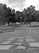 10th Jun 2011 - Cemetery cross