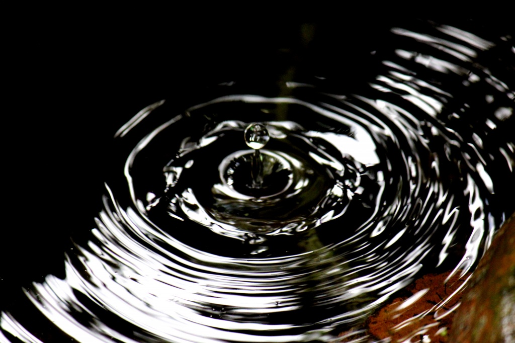 Droplets in the birdbath by eleanor
