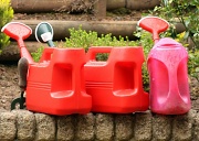 17th Jun 2011 - Phil 'three watering cans' !!