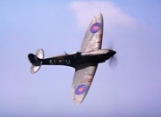 13th Jun 2011 - Spitfire 
