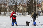 27th Mar 2011 - Lumikengillä With snowshoes IMG_4601