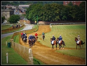 18th Jun 2011 - View from The Gallops