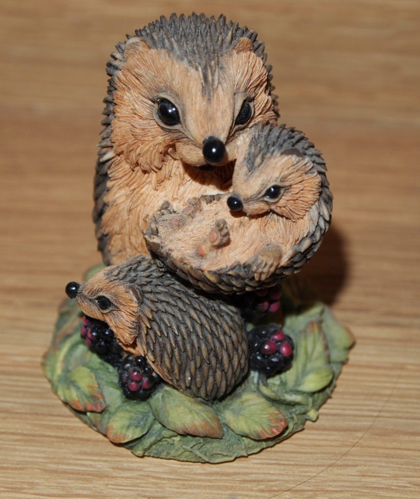 Hedgehog family by karendalling