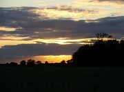 19th Jun 2011 - Sunset over the fields