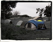 19th Jun 2011 - Campers
