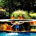 Splash into Summer by lisaconrad