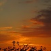 sunset 19th june 2011 by itsonlyart