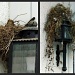 Nest by parisouailleurs