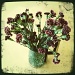 Office flowers by mastermek