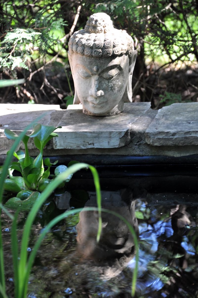 Buddha Reflection by cwarrior