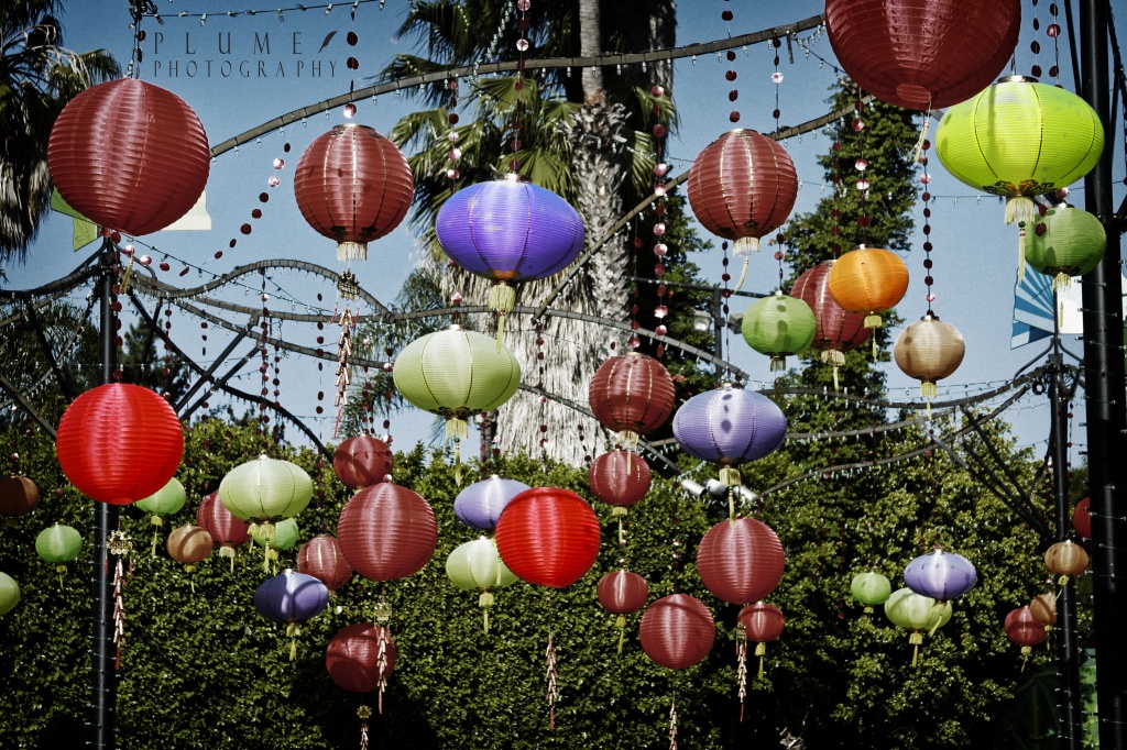 Chinese lanterns  by orangecrush