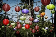 21st Jun 2011 - Chinese lanterns 
