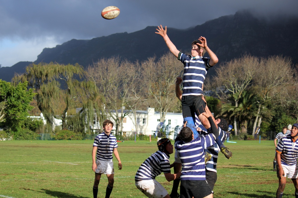 The lineout by eleanor
