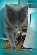 22nd Jun 2011 - Tinker supervises the 365 upload