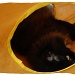 Bruno in his new play tunnel by itsonlyart