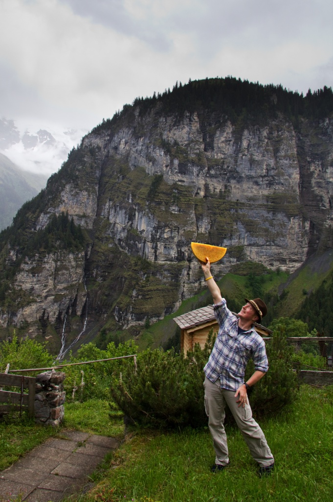 4.3 Kilograms of Swiss Mountain Cheese! by harvey
