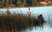 22nd Jun 2011 - Fishin' in the Reeds