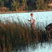 Fishin' in the Reeds by grannysue