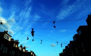 23rd Jun 2011 - Shoefiti