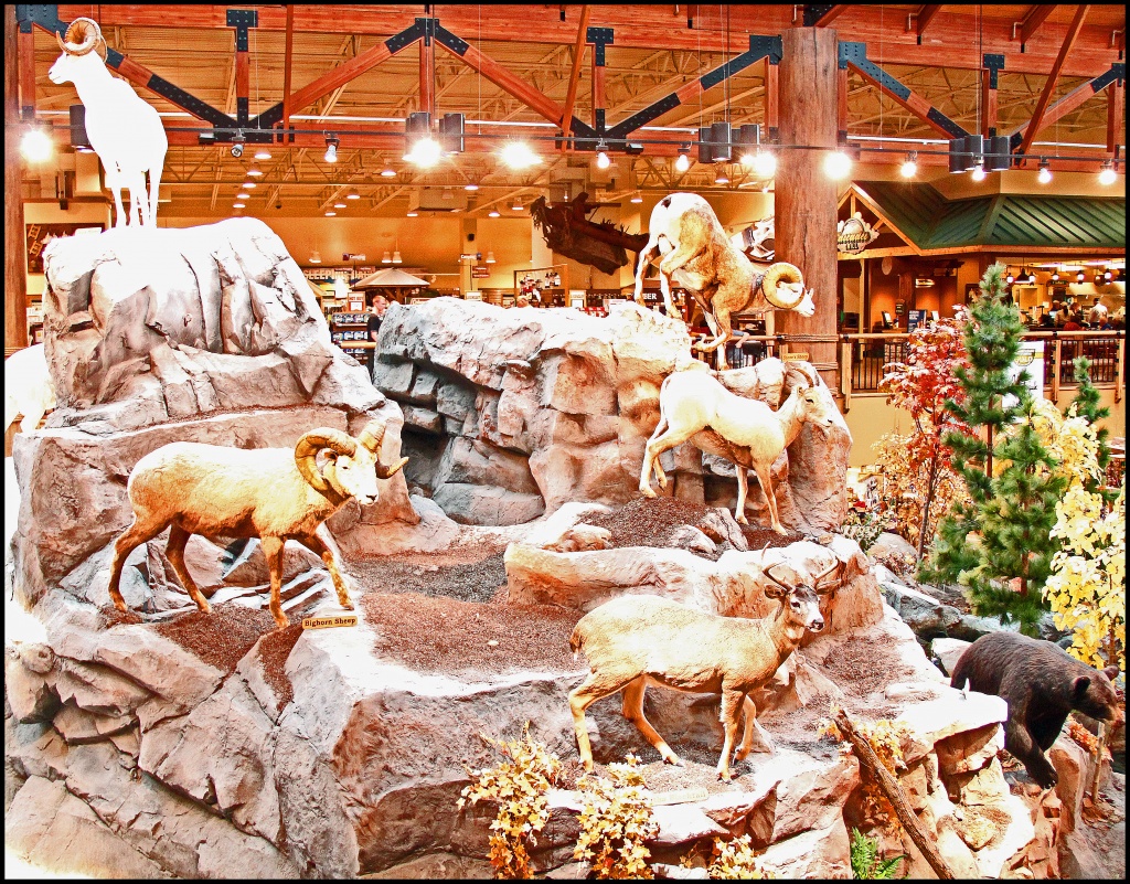 Cabelas at Lacey WA by hjbenson