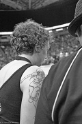 23rd Jun 2011 - The Tattoo Of A True Roller Derby Fan!