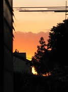 24th Jun 2011 - Sunset