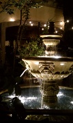 24th Jun 2011 - Fountain of Youth