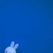 miffy by iiwi