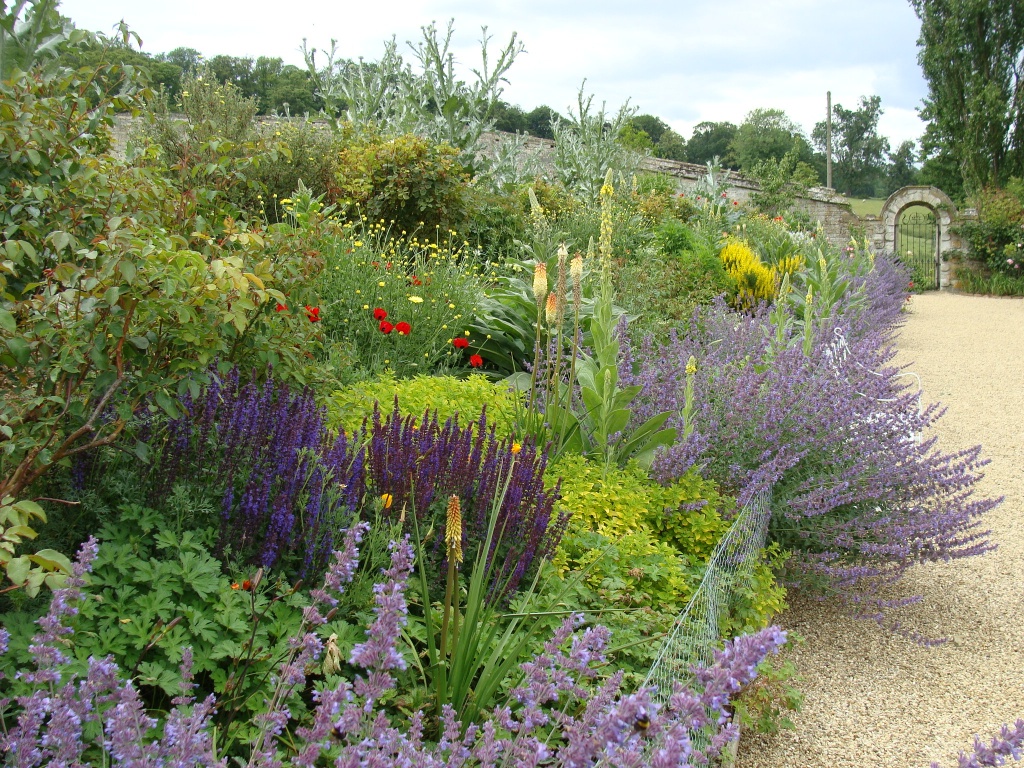 Herbaceous border at Easton by busylady