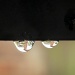 Hanging raindrops by manek43509