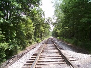 24th Jun 2011 - Railroad Tracks