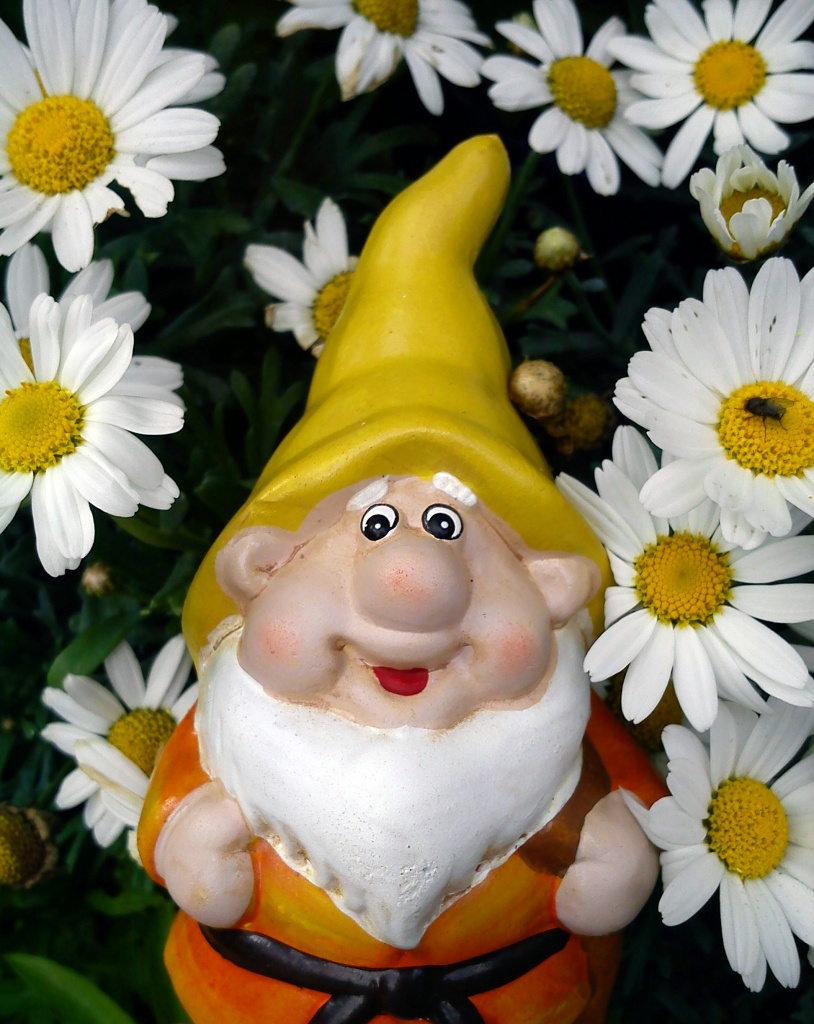 Laughing gnome. by blightygal
