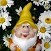 Laughing gnome. by blightygal