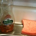 Orange Sponge Soap and Sponge 6.26.11 by sfeldphotos