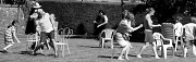 26th Jun 2011 - Just for fun: Playing musical chairs
