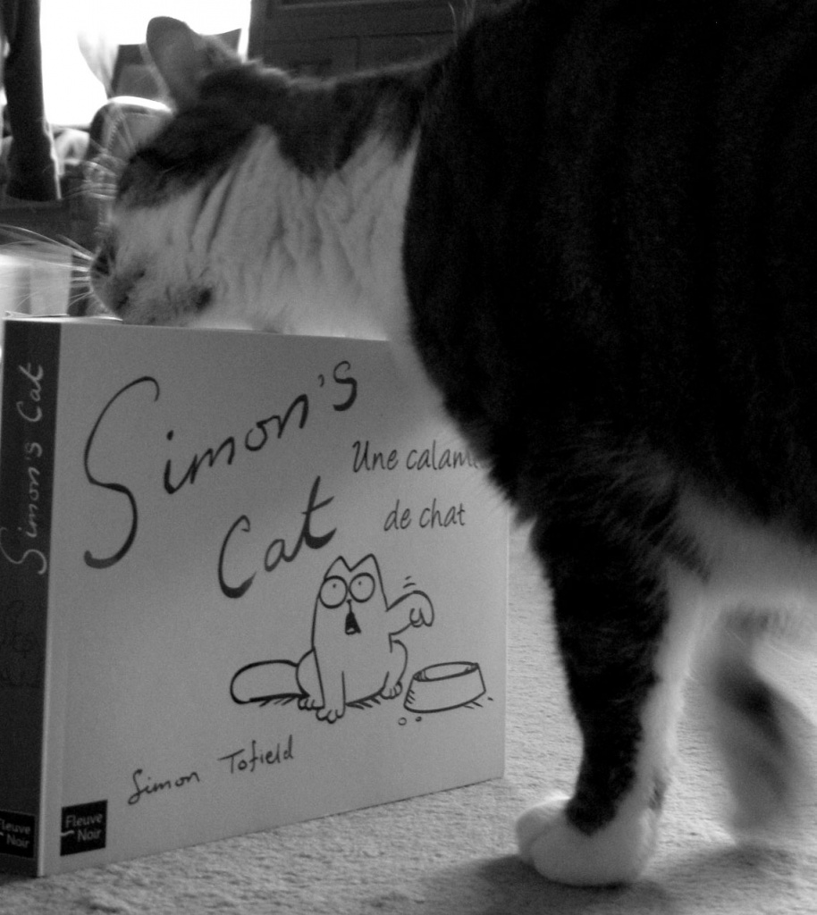 Just for fun: Tribute to Simon's cat by parisouailleurs