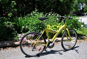 27th Jun 2011 - Yellow Bike