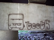 27th Jun 2011 - Teeth