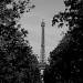 Hide & seek Eiffel Tower #5 by parisouailleurs